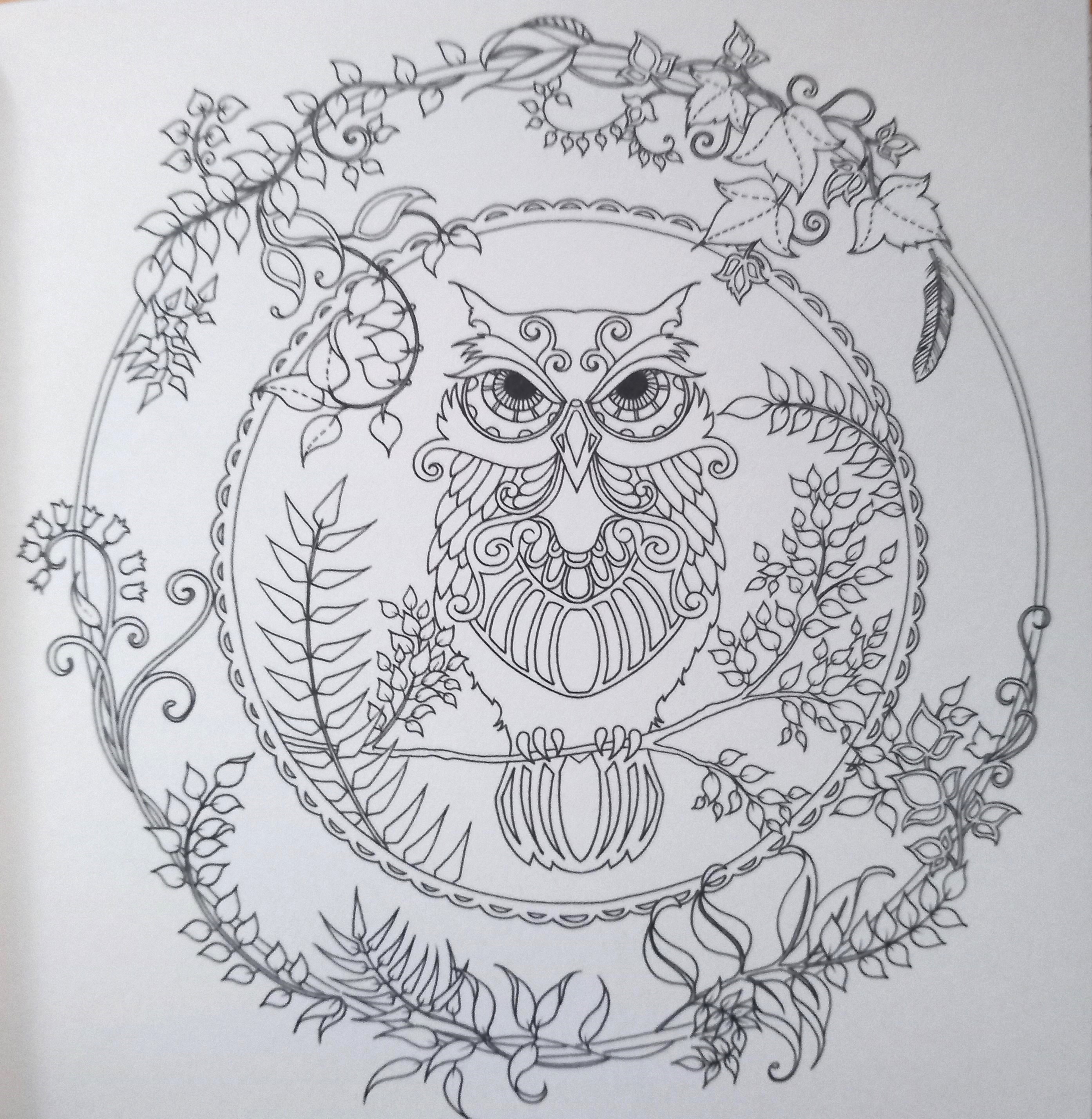 Miniature Enchanted Forest - omalovánky od Johanny Basford